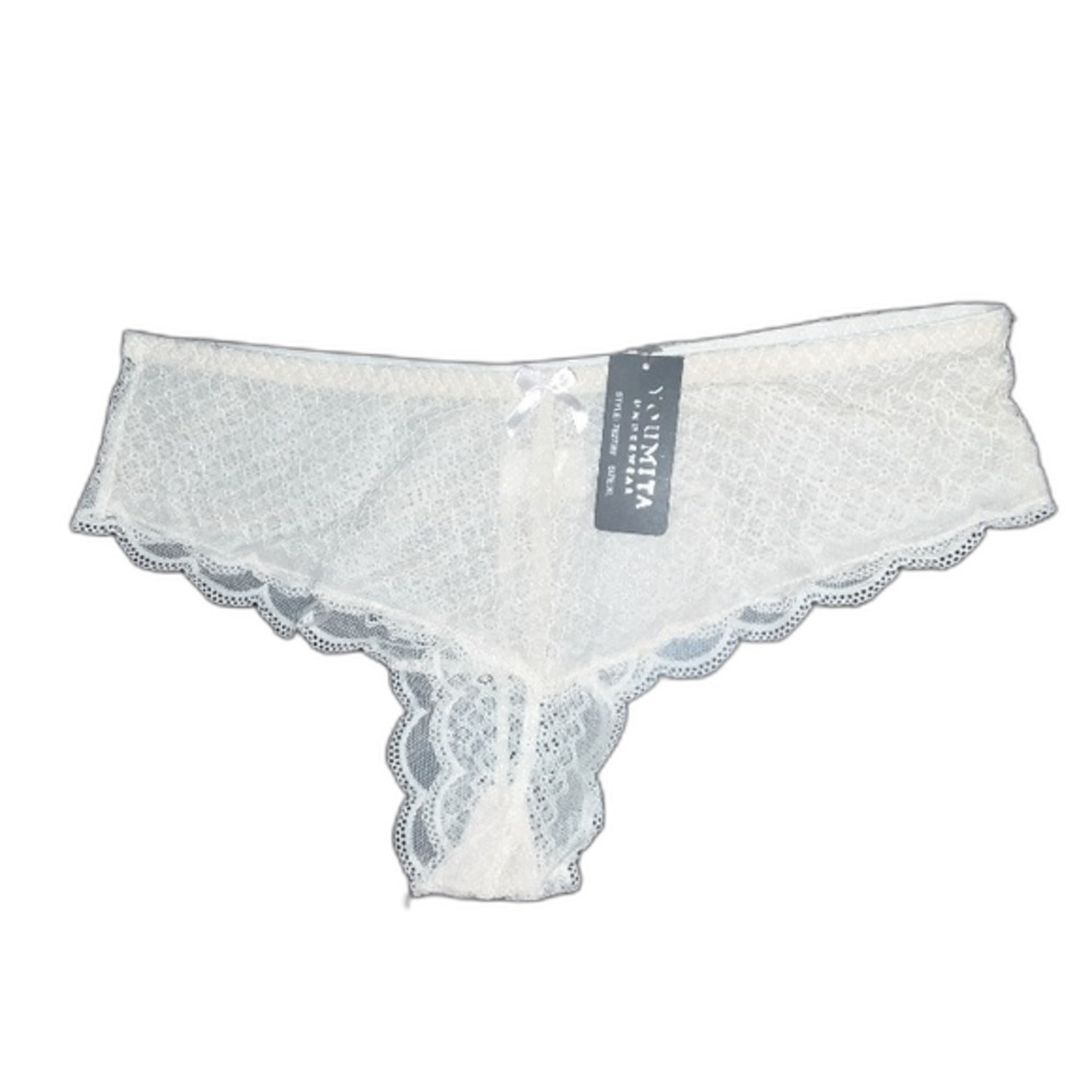 Youmita XL Ash Mesh Lace Bikini Panty